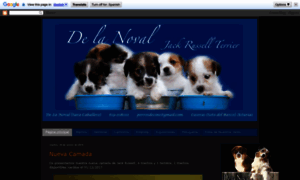 Cachorrosjackrussell.blogspot.com thumbnail