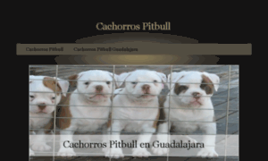 Cachorrospitbull.mx thumbnail