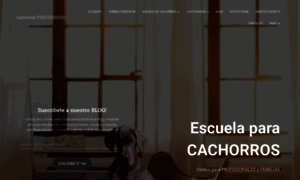 Cachorrostodoterreno.com thumbnail