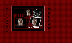 Caer-cadarn.nl thumbnail