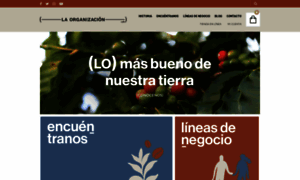 Cafelaorganizacion.mx thumbnail