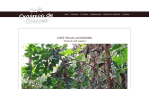 Cafelaselva.com.mx thumbnail