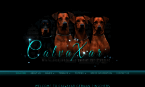Calvaxar.co.uk thumbnail