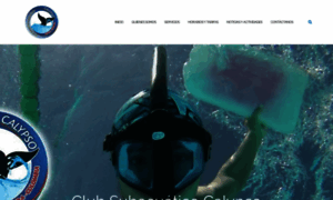 Calypso.com.co thumbnail