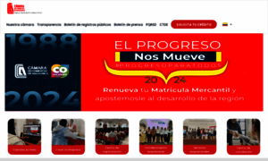 Camaraaguachica.org.co thumbnail