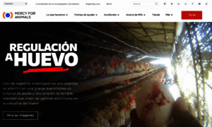 Cambiandolasleyes.mercyforanimals.mx thumbnail