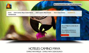 Caminomayahotel.com thumbnail