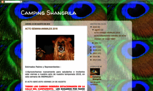 Campingshangrila.blogspot.com thumbnail
