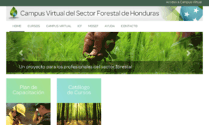 Campusforestal.com thumbnail