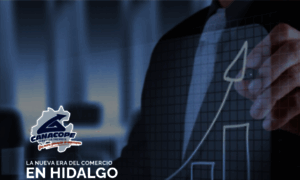 Canacopeservyturpachuca.com thumbnail