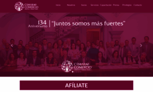 Canacopuebla.org.mx thumbnail