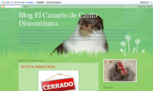 Canariculturadecanto.blogspot.com thumbnail