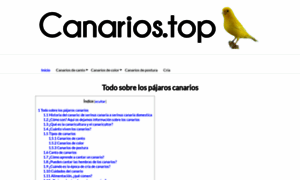 Canarios.top thumbnail