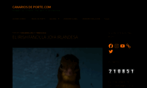Canariosdeporte.com thumbnail