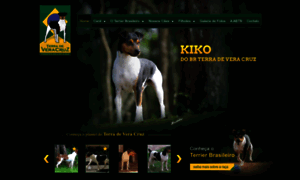 Canilterradeveracruz.com.br thumbnail