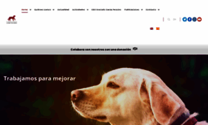 Canismajoris.es thumbnail
