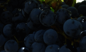 Cantina-la-sughera.com thumbnail