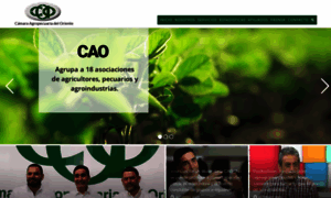 Cao.org.bo thumbnail