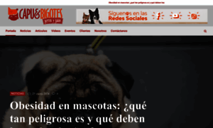 Capuybigotes.com thumbnail