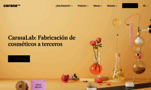 Carasalab.com thumbnail