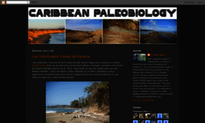 Caribbeanpaleobiology.blogspot.com thumbnail