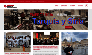 Caritas-santiago.org thumbnail