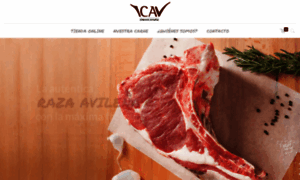 Carneavila.com thumbnail