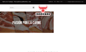 Carniceriasenmonterrey.com thumbnail