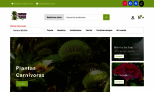 Carnivoraspichidegua.cl thumbnail