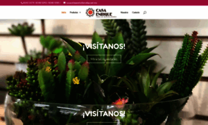 Casaenrique.com.mx thumbnail
