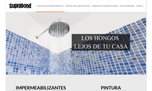 Casasinhumedad.com thumbnail