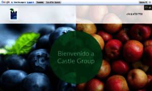 Castlegroup.com.ar thumbnail