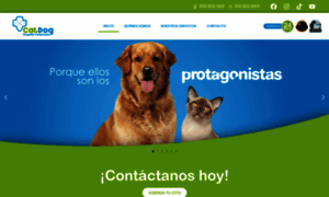 Catdog.com.co thumbnail
