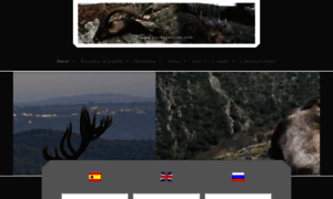 Cazaygestion.com thumbnail