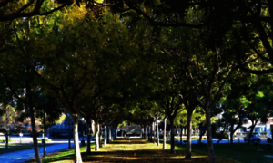 Ccca-online.org thumbnail