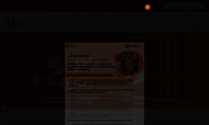 Cchuila.org thumbnail