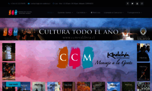 Ccm-valdivia.cl thumbnail