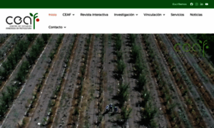 Ceaf.cl thumbnail