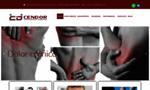 Cendorbolivia.com thumbnail