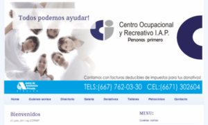 Centroocupacionaliap.com thumbnail