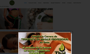 Centrothai.com thumbnail