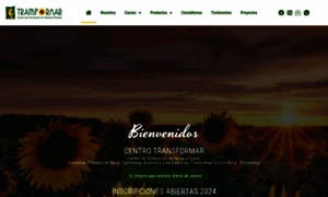 Centrotransformar.com thumbnail