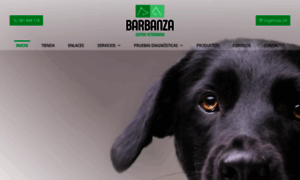 Centroveterinariobarbanza.es thumbnail