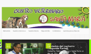 Centroveterinariosantamaria.com thumbnail