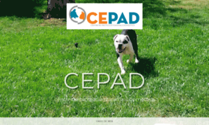 Cepadfnp.wordpress.com thumbnail