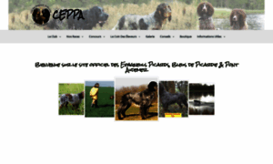 Ceppa.fr thumbnail