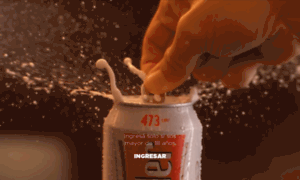 Cervezaschneider.com.ar thumbnail