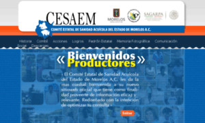 Cesaem.org thumbnail