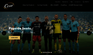 Cesar.com thumbnail