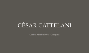 Cesarcattelani.com.ar thumbnail